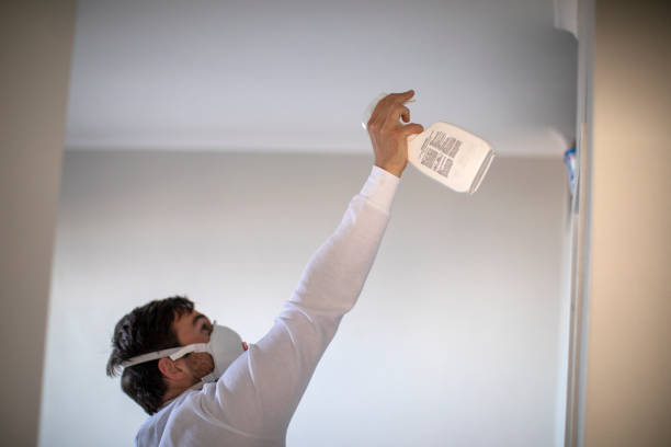 Best Office Mold Removal Services  in South Lyon, MI