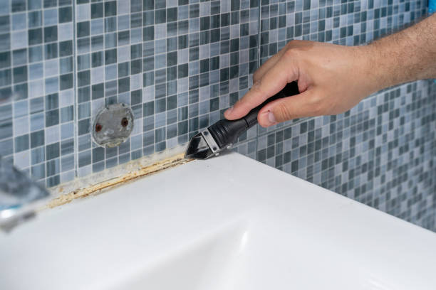 Office Mold Removal Services in South Lyon, MI